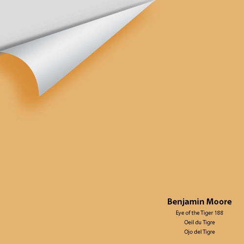 Benjamin Moore - Eye Of The Tiger 188 Peel & Stick Color Sample