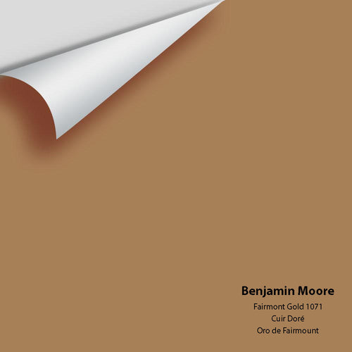 Benjamin Moore - Fairmont Gold 1071 Peel & Stick Color Sample