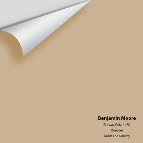 Benjamin Moore - Fairway Oaks 1075 Peel & Stick Color Sample