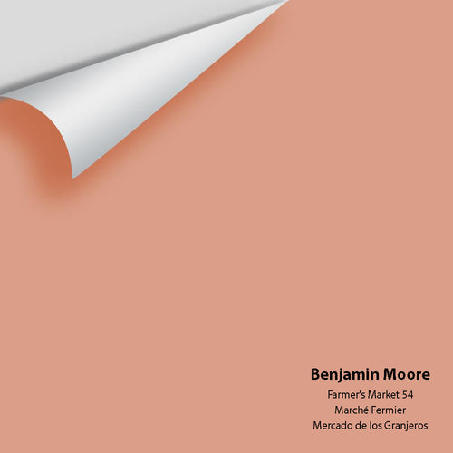 Benjamin Moore - Farmer's Market 54 Peel & Stick Color Sample