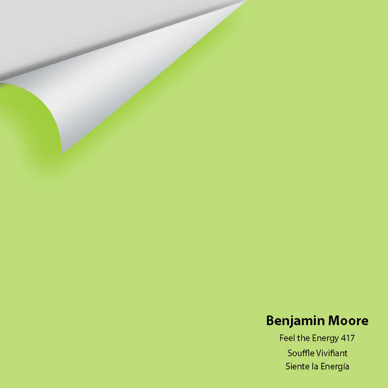 Benjamin Moore - Feel The Energy 417 Peel & Stick Color Sample