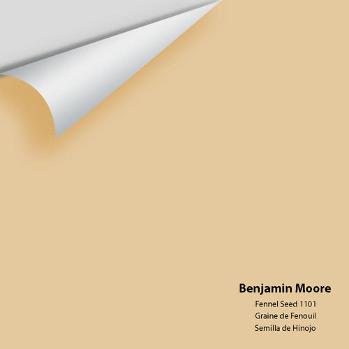 Benjamin Moore - Fennel Seed 1101 Peel & Stick Color Sample