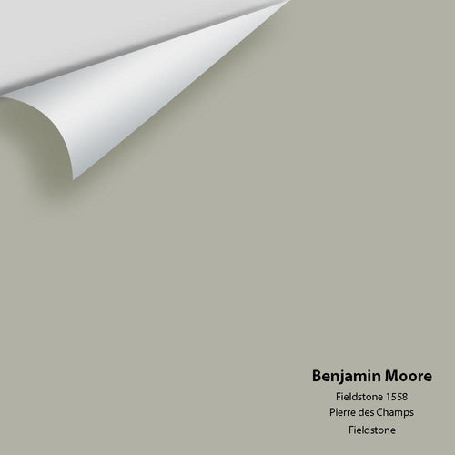 Benjamin Moore - Fieldstone 1558 Peel & Stick Color Sample