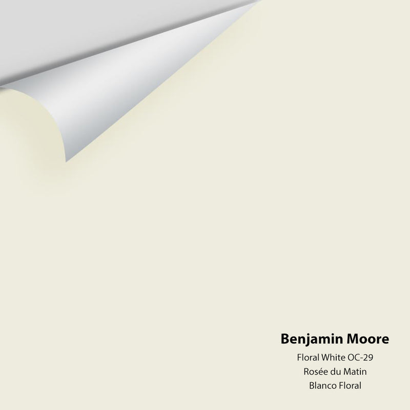 Benjamin Moore - Floral White OC-29 Peel & Stick Color Sample