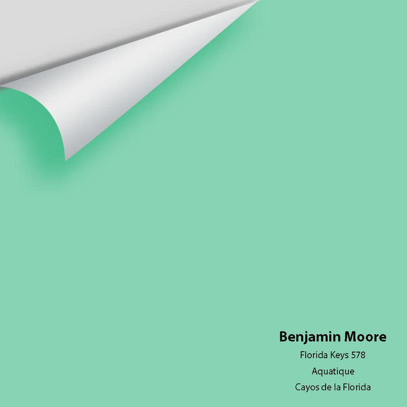 Benjamin Moore - Florida Keys 578 Peel & Stick Color Sample