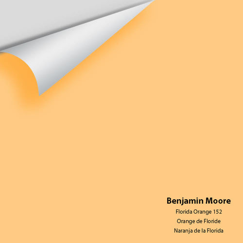 Benjamin Moore - Florida Orange 152 Peel & Stick Color Sample