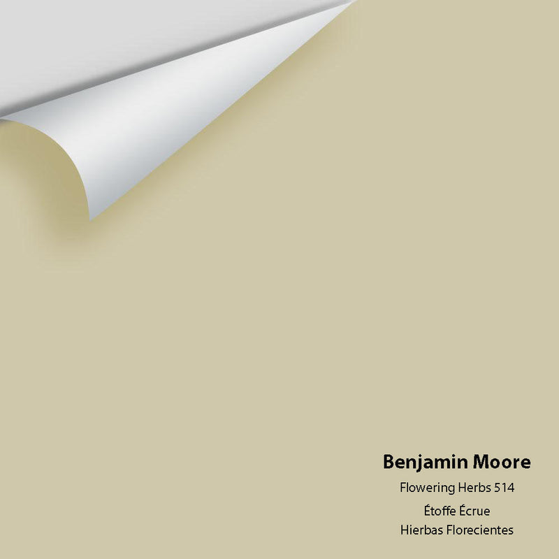 Benjamin Moore - Flowering Herbs 514 Peel & Stick Color Sample