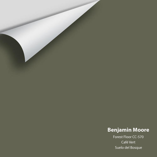 Benjamin Moore - Forest Floor 1498/CC-570 Peel & Stick Color Sample