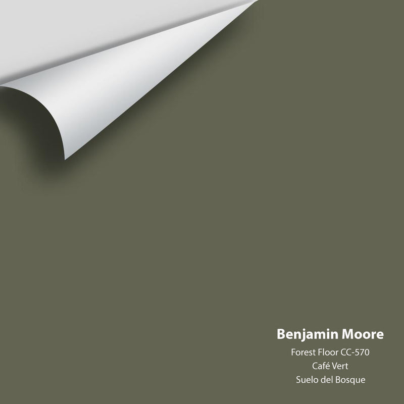 Benjamin Moore - Forest Floor 1498/CC-570 Peel & Stick Color Sample