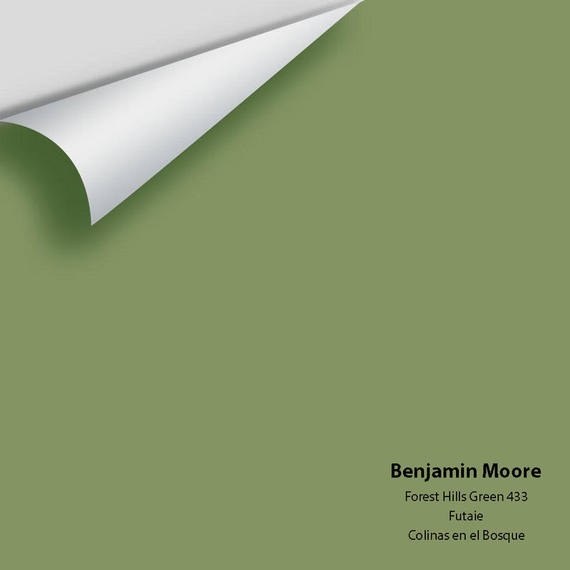 Benjamin Moore - Forest Hills Green 433 Peel & Stick Color Sample