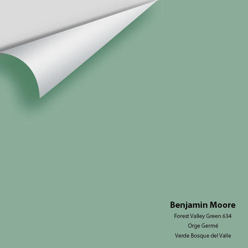 Benjamin Moore - Forest Valley Green 634 Peel & Stick Color Sample