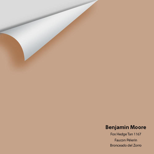 Benjamin Moore - Fox Hedge Tan 1167 Peel & Stick Color Sample