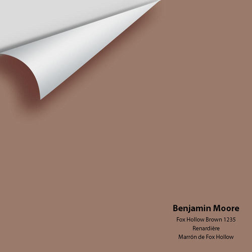 Benjamin Moore - Fox Hollow Brown 1235 Peel & Stick Color Sample