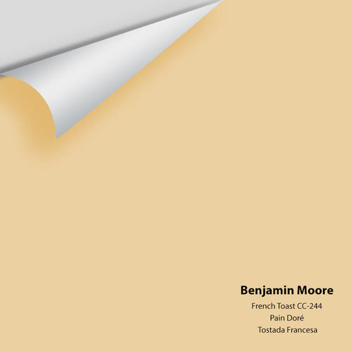 Benjamin Moore - French Toast CC-244 Peel & Stick Color Sample