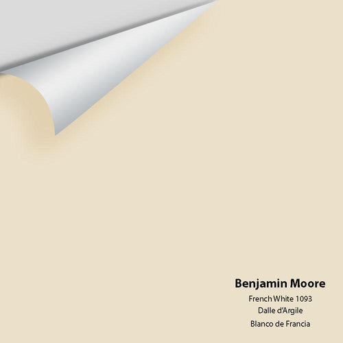 Benjamin Moore - French White 1093 Peel & Stick Color Sample