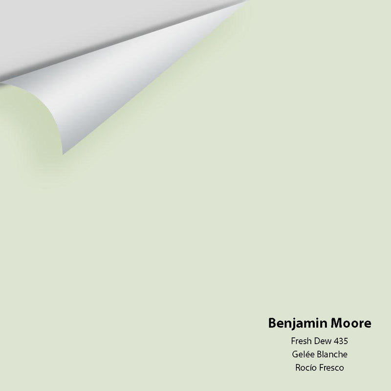 Benjamin Moore - Fresh Dew 435 Peel & Stick Color Sample