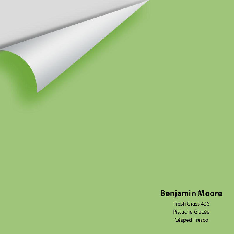 Benjamin Moore - Fresh Grass 426 Peel & Stick Color Sample
