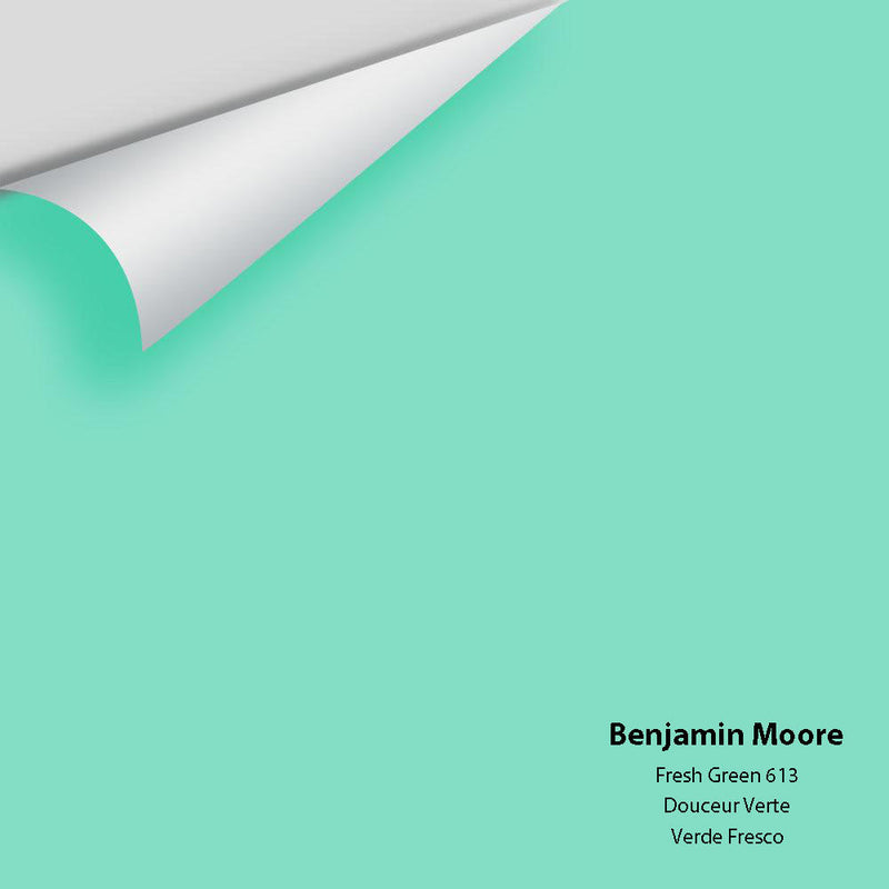 Benjamin Moore - Fresh Green 613 Peel & Stick Color Sample
