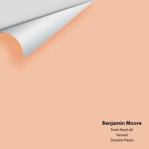 Benjamin Moore - Fresh Peach 60 Peel & Stick Color Sample