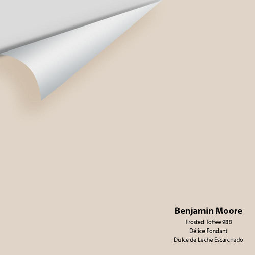 Benjamin Moore - Frosted Toffee 988 Peel & Stick Color Sample