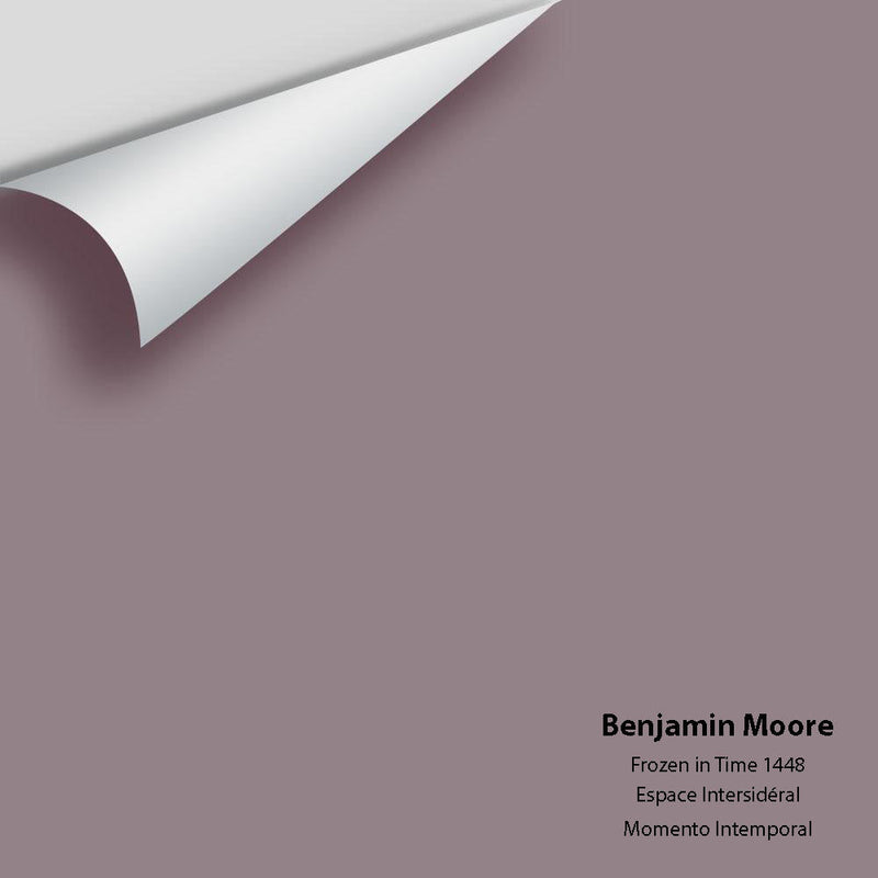 Benjamin Moore - Frozen In Time 1448 Peel & Stick Color Sample