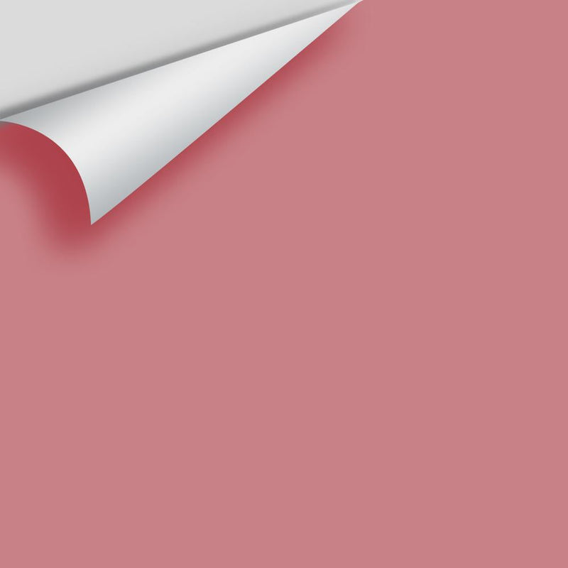 Benjamin Moore - Genuine Pink 2005-40 Peel & Stick Color Sample