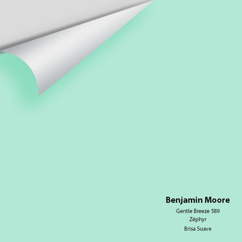 Benjamin Moore - Gentle Breeze 589 Peel & Stick Color Sample