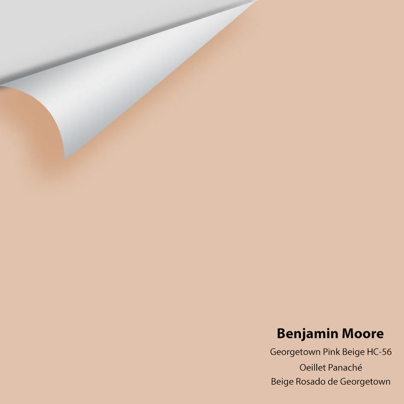 Benjamin Moore - Georgetown Pink Beige HC-56 Peel & Stick Color Sample