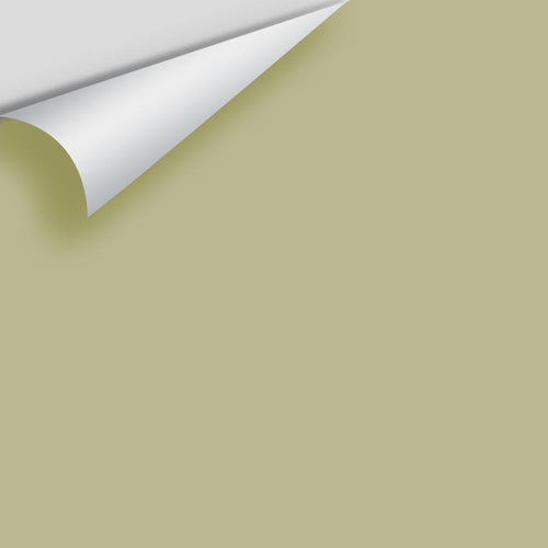 Benjamin Moore - Georgian Green HC-115 Peel & Stick Color Sample