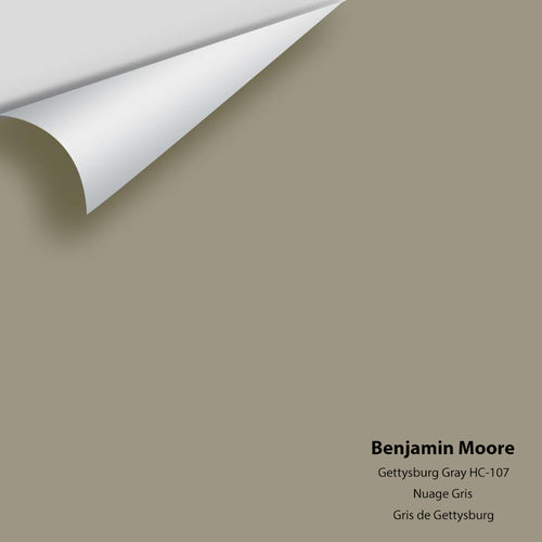 Benjamin Moore - Gettysburg Gray HC-107 Peel & Stick Color Sample