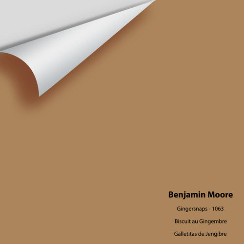 Benjamin Moore - Gingersnaps 1063 Peel & Stick Color Sample