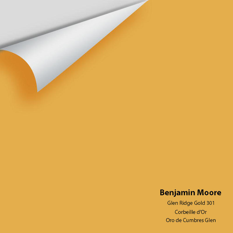 Benjamin Moore - Glen Ridge Gold 301 Peel & Stick Color Sample