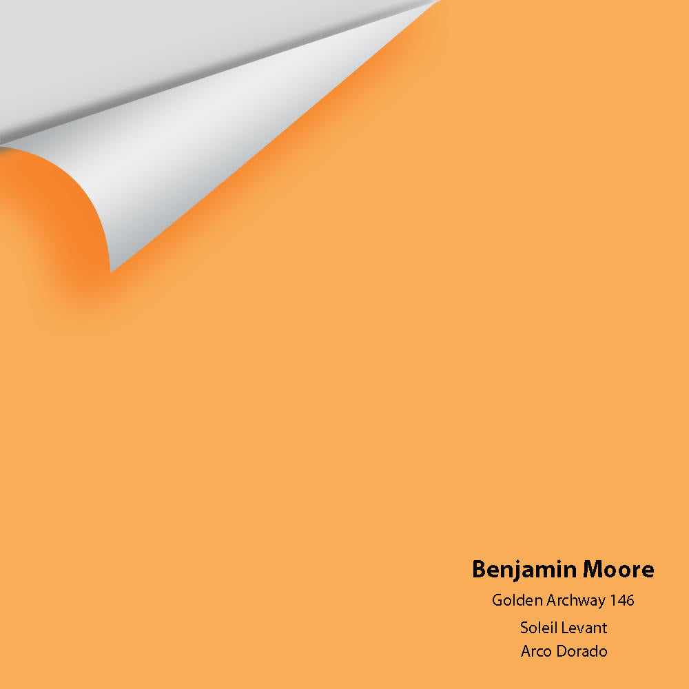 The Color House Benjamin Moore Peel & Stick Paint Samples