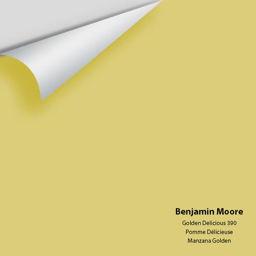Benjamin Moore - Golden Delicious 390 Peel & Stick Color Sample