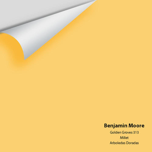 Benjamin Moore - Golden Groves 313 Peel & Stick Color Sample