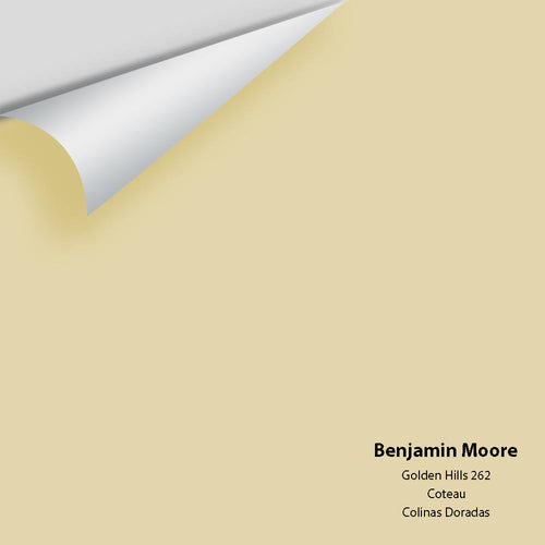 Benjamin Moore - Golden Hills 262 Peel & Stick Color Sample