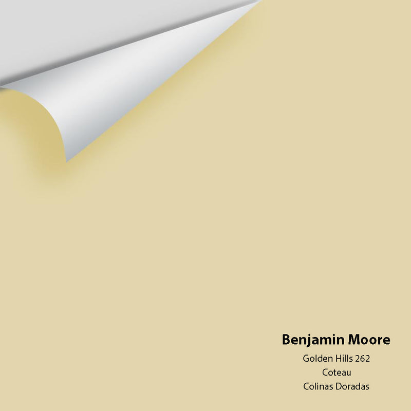 Benjamin Moore - Golden Hills 262 Peel & Stick Color Sample