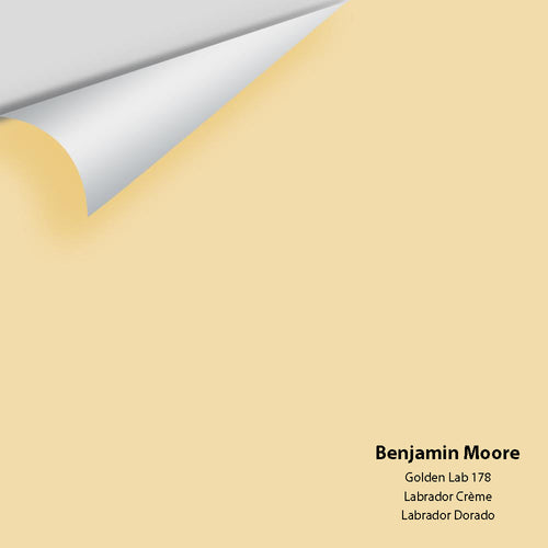 Benjamin Moore - Golden Lab 178 Peel & Stick Color Sample
