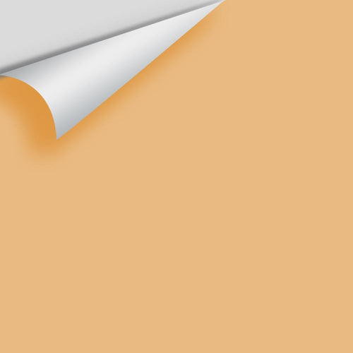 Benjamin Moore - Golden Mist 2158-40 Peel & Stick Color Sample