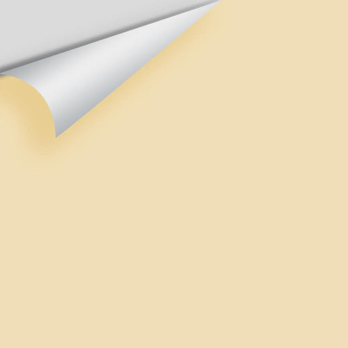 Benjamin Moore - Golden Straw 2152-50 Peel & Stick Color Sample
