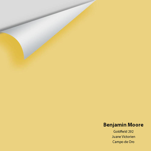 Benjamin Moore - Goldfield 292 Peel & Stick Color Sample
