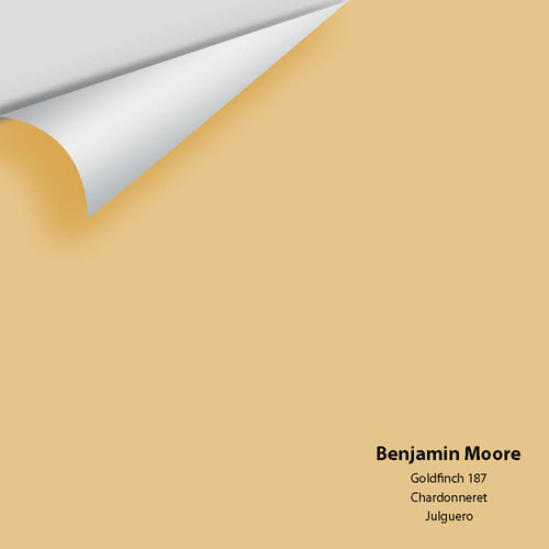 Benjamin Moore - Goldfinch 187 Peel & Stick Color Sample