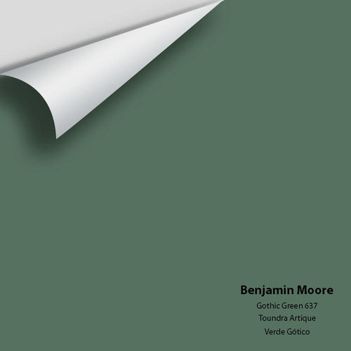 Benjamin Moore - Gothic Green 637 Peel & Stick Color Sample