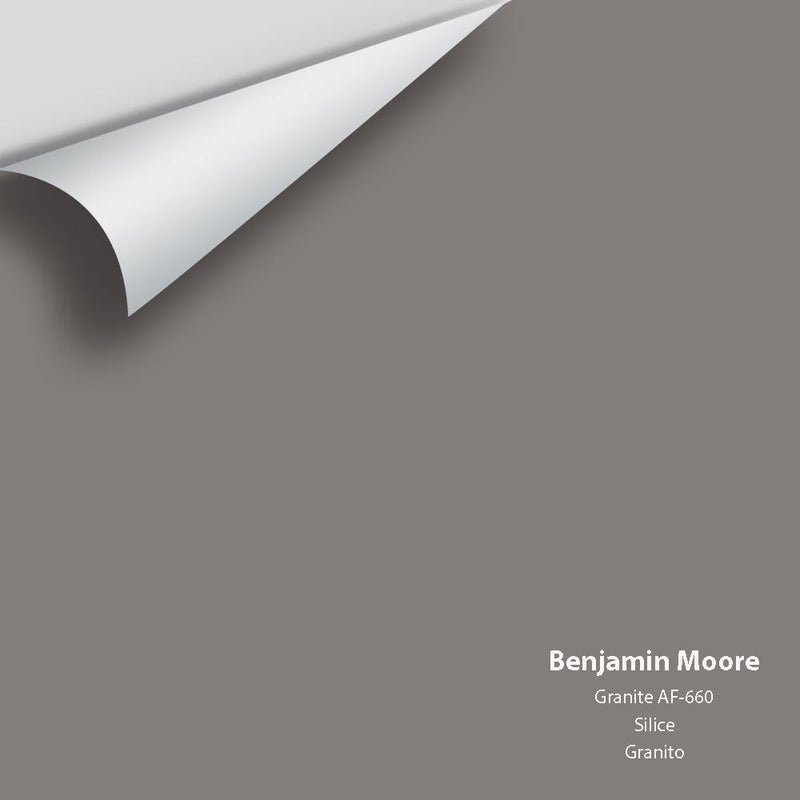 Benjamin Moore - Granite AF-660 Peel & Stick Color Sample