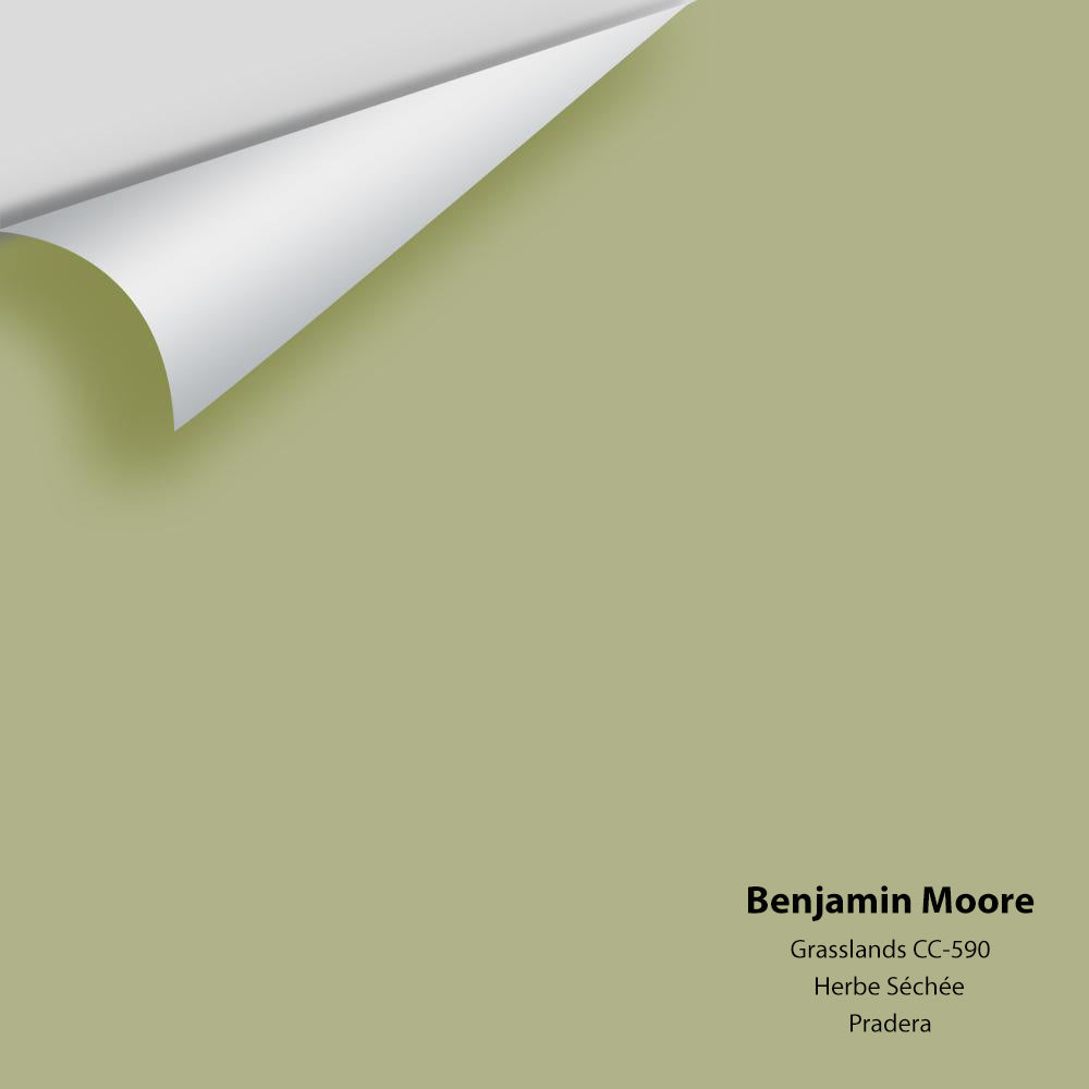 The Color House Benjamin Moore Peel & Stick Paint Samples