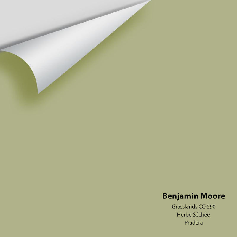 Benjamin Moore - Grasslands 502/CC-590 Peel & Stick Color Sample