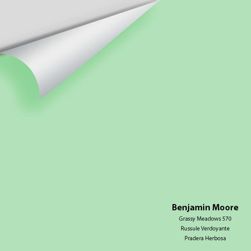 Benjamin Moore - Grassy Meadows 570 Peel & Stick Color Sample
