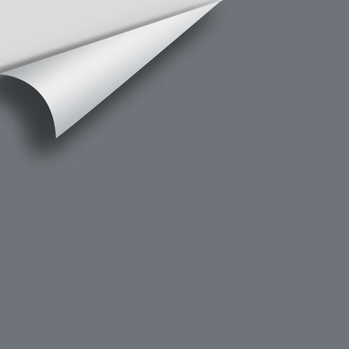 Benjamin Moore - Gray Shower 2125-30 Peel & Stick Color Sample
