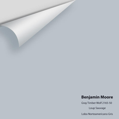 Benjamin Moore - Gray Timber Wolf 2126-50 Peel & Stick Color Sample