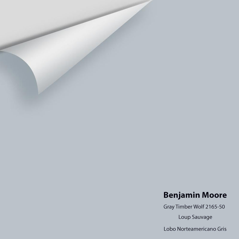 Benjamin Moore - Gray Timber Wolf 2126-50 Peel & Stick Color Sample